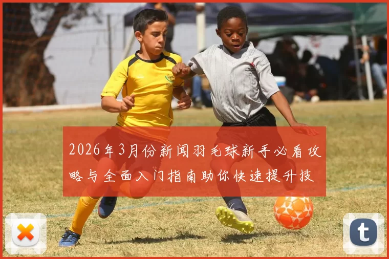 2026年3月份新闻羽毛球新手必看攻略与全面入门指南助你快速提升技巧与水平